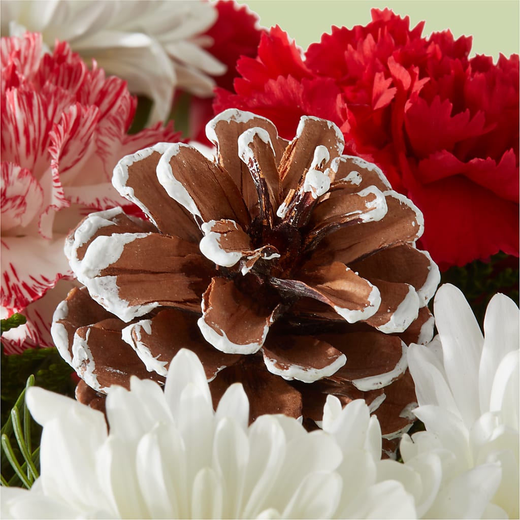 Candy Cane Lane Bouquet –  Discountflowershop.com, Tontitown AR