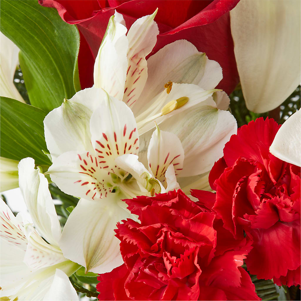 Holiday Season Bouquet –  Discountflowershop.com, Tontitown AR