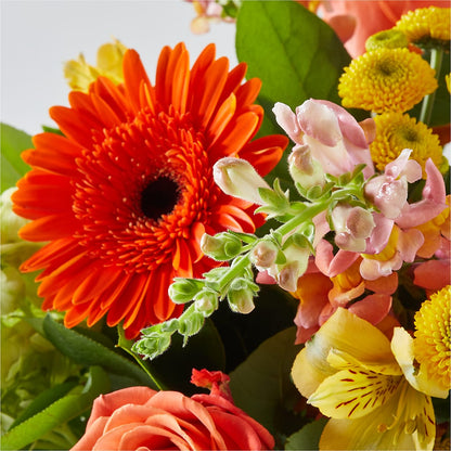 Autumn Sunshine Bouquet –  Discountflowershop.com, Tontitown AR