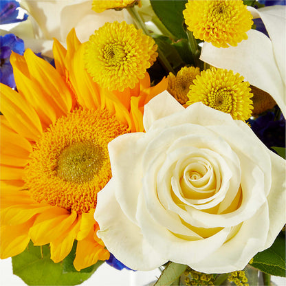 Stargazing Bouquet –  Discountflowershop.com, Tontitown AR