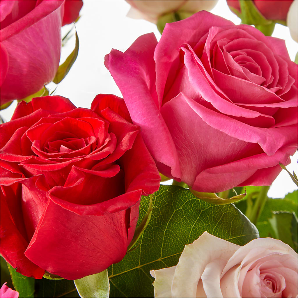Charming Rose Bouquet –  Discountflowershop.com, Tontitown AR