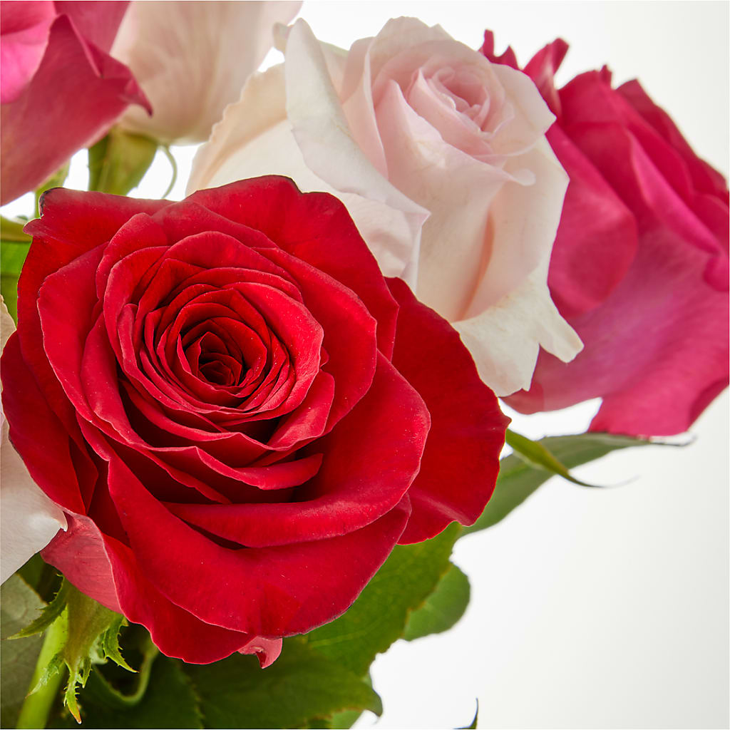 Charming Rose Bouquet –  Discountflowershop.com, Tontitown AR