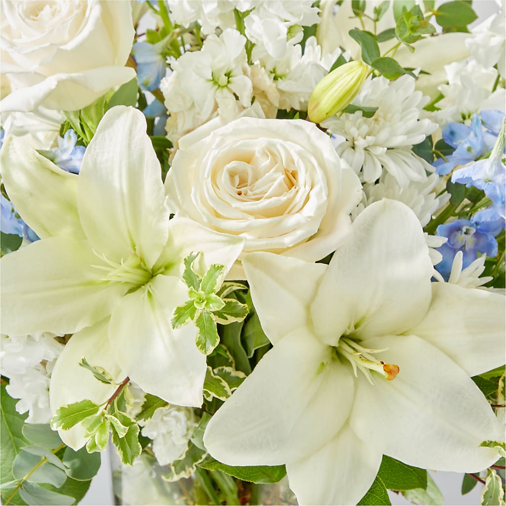 Peace of Mind Bouquet –  Discountflowershop.com, Tontitown AR