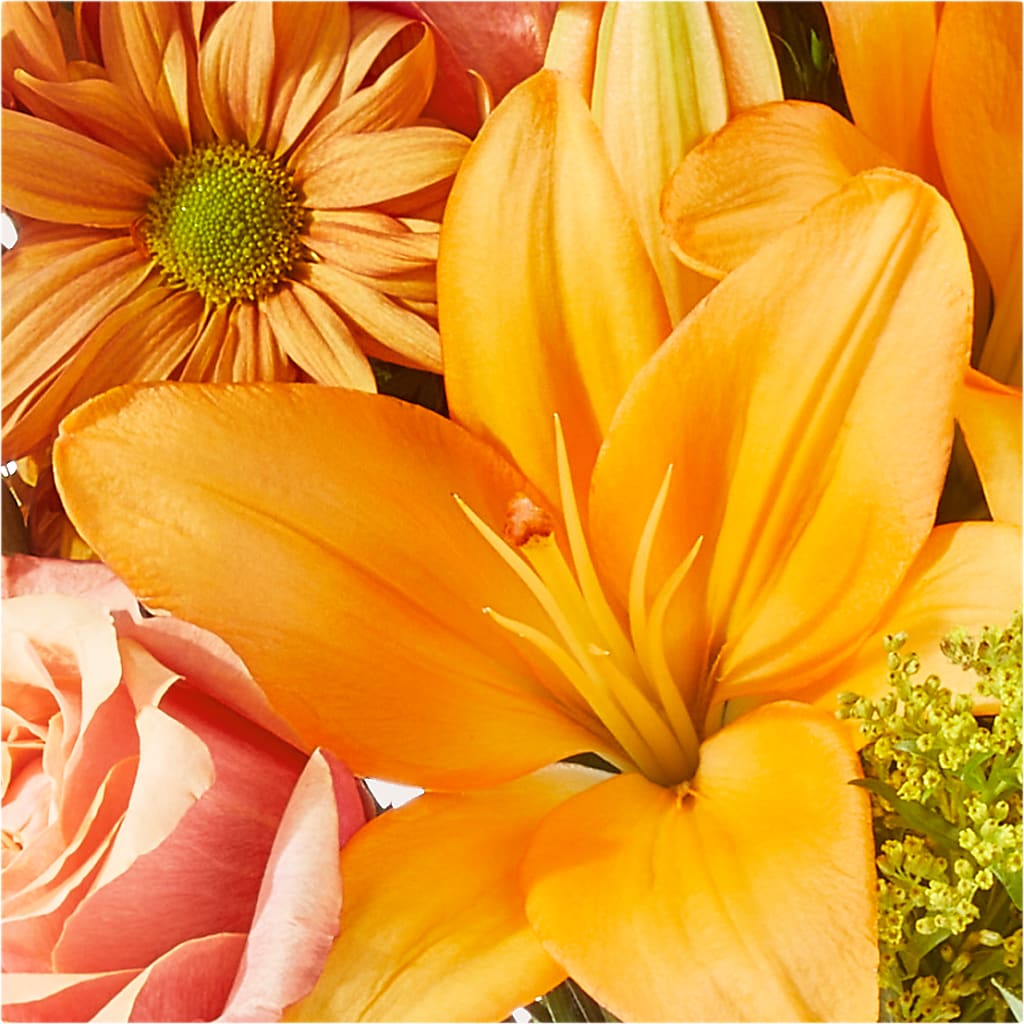 Harvest Hayride Bouquet –  Discountflowershop.com, Tontitown AR