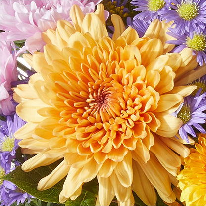 Countryside Bouquet –  Discountflowershop.com, Tontitown AR