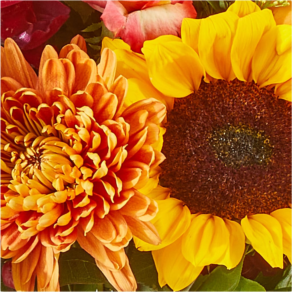 Seasons Change Bouquet –  Discountflowershop.com, Tontitown AR