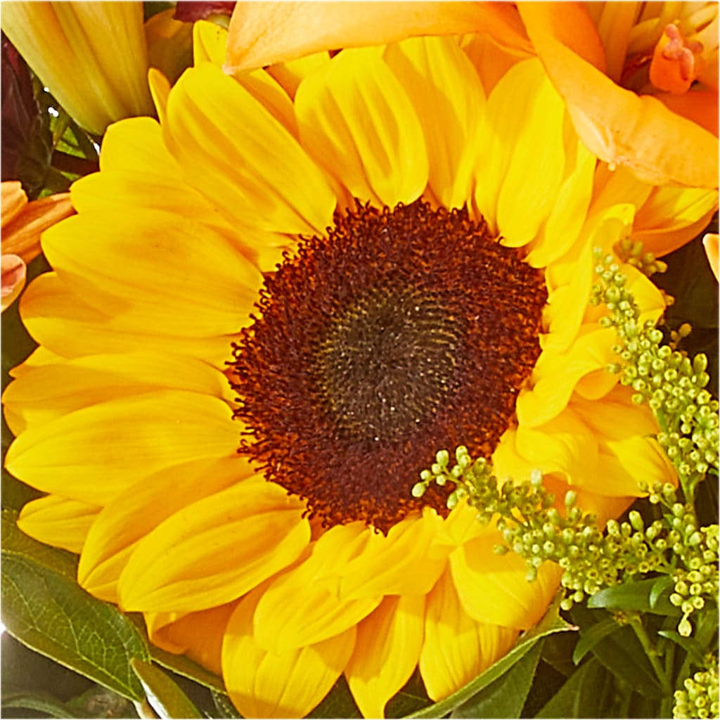 Seasons Change Bouquet –  Discountflowershop.com, Tontitown AR