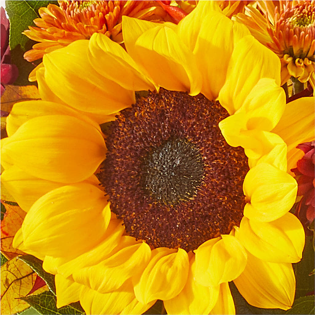 Sunny Side Bouquet –  Discountflowershop.com, Tontitown AR