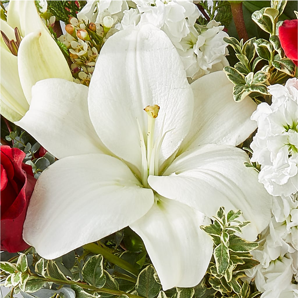 Twinkle Lights Bouquet –  Discountflowershop.com, Tontitown AR