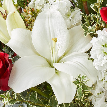 Twinkle Lights Bouquet –  Discountflowershop.com, Tontitown AR