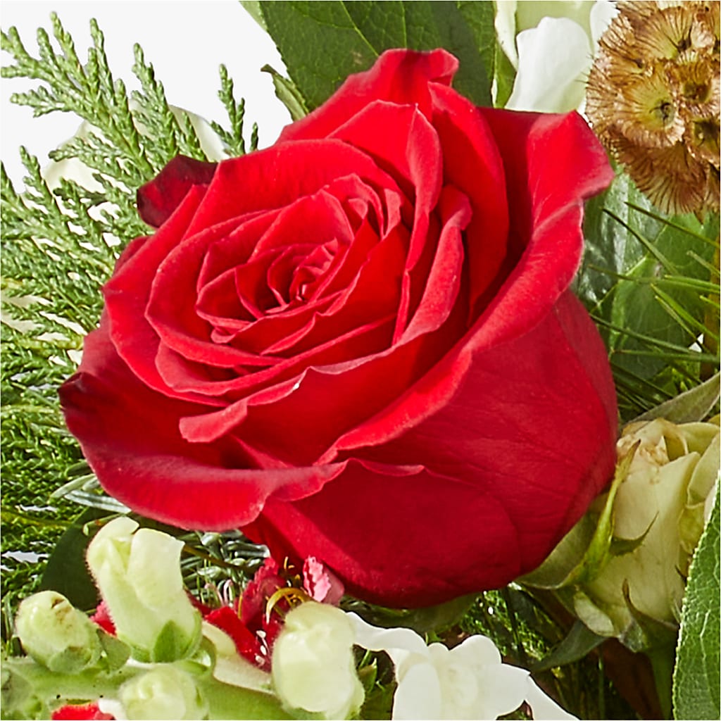 Deck the Halls Bouquet –  Discountflowershop.com, Tontitown AR
