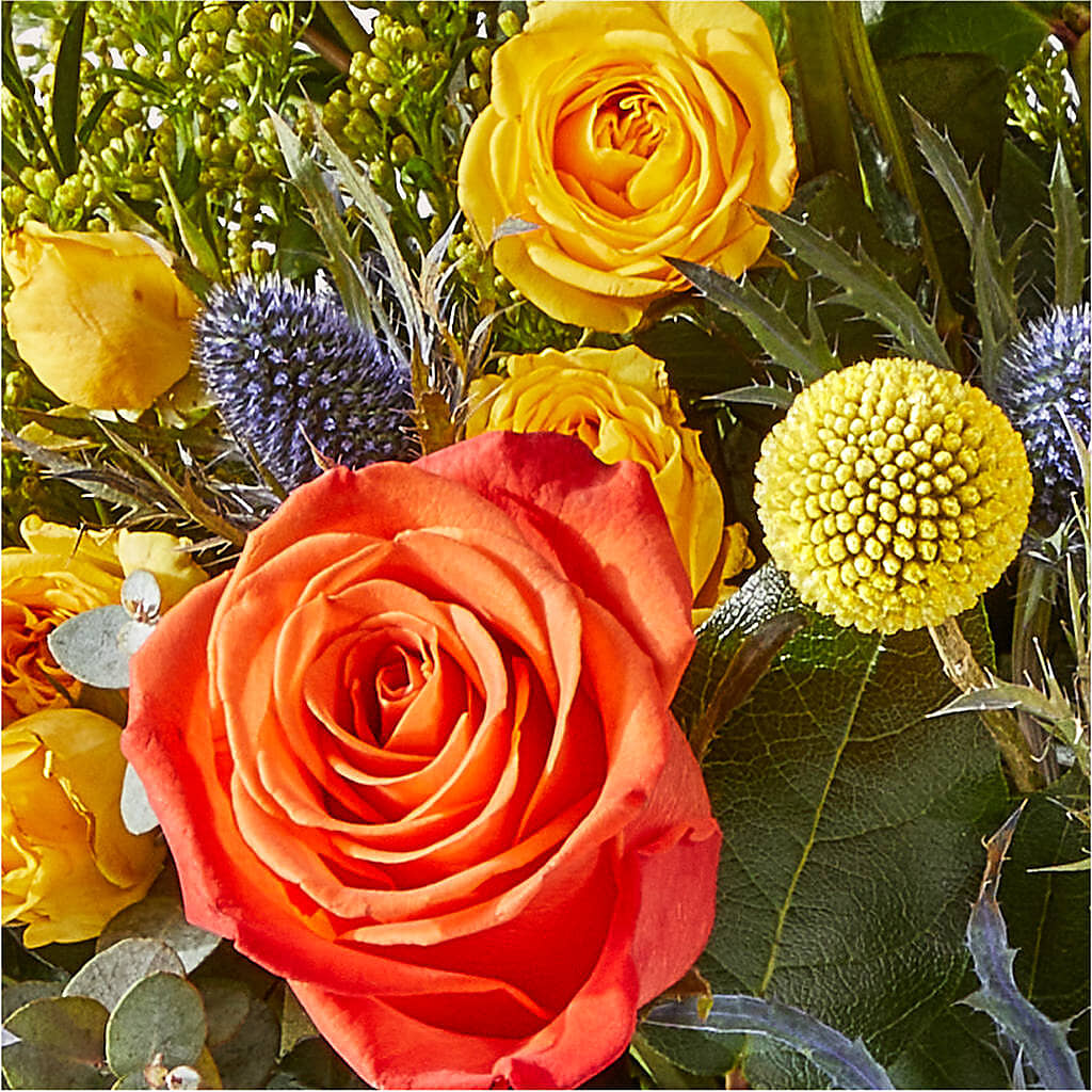 Disco Bouquet –  Discountflowershop.com, Tontitown AR