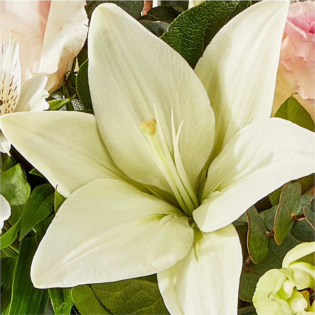 Ballet Slippers Bouquet –  Discountflowershop.com, Tontitown AR