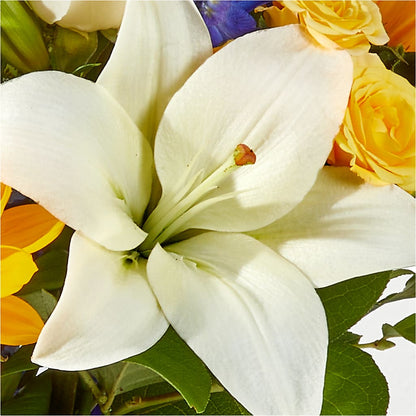 Wonderfully Sunny Bouquet –  Discountflowershop.com, Tontitown AR