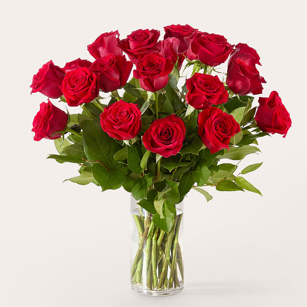 The One Red Rose Bouquet –  Discountflowershop.com, Tontitown AR