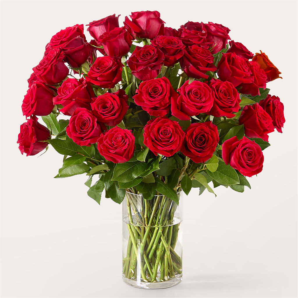 The One Red Rose Bouquet –  Discountflowershop.com, Tontitown AR