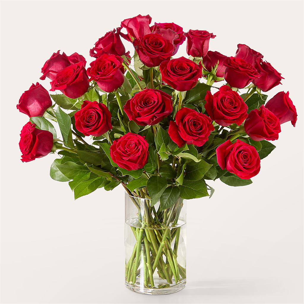The One Red Rose Bouquet –  Discountflowershop.com, Tontitown AR