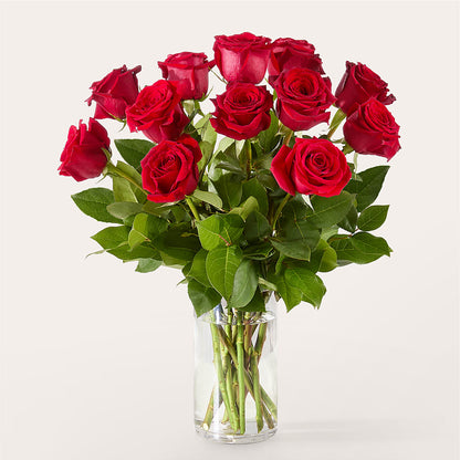 The One Red Rose Bouquet –  Discountflowershop.com, Tontitown AR