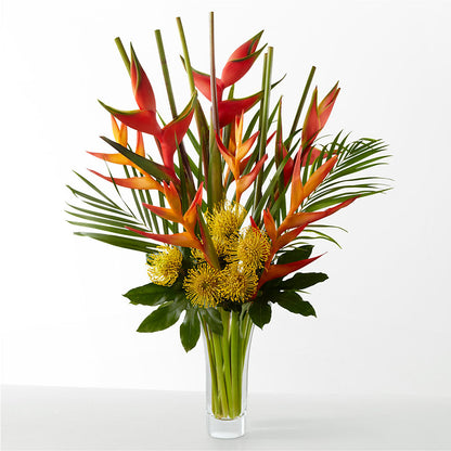 The Drama –  Discountflowershop.com, Tontitown AR