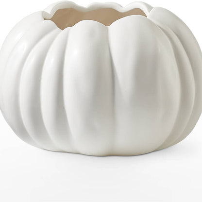 Autumn Air Pumpkin Bouquet –  Discountflowershop.com, Tontitown AR